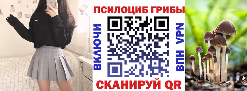 Галлюциногенные грибы прущие грибы  Купить закладки  Конаково 